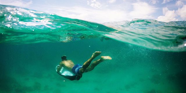 Full day of underwater adventures (1)